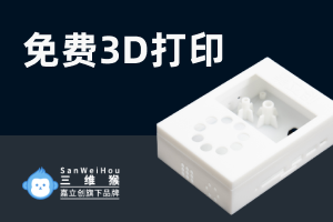 三维猴3D打印